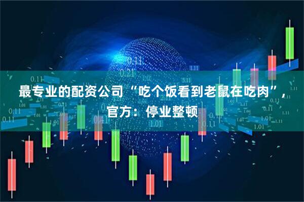 最专业的配资公司 “吃个饭看到老鼠在吃肉”，官方：停业整顿