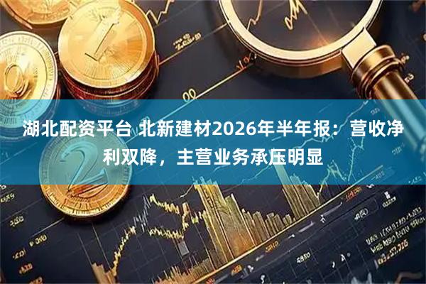 湖北配资平台 北新建材2026年半年报：营收净利双降，主营业务承压明显